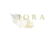 IORA Capital